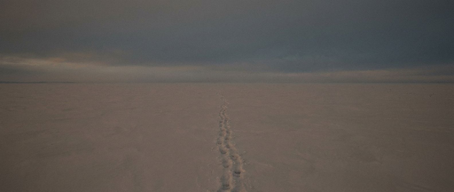 A wide, atmospheric photograph of a vast, empty snow-covered Russian steppe at dusk. A single, faint track of footprints disappears into the distance, leading to an endless horizon under a heavy, steel-grey sky. The scene is devoid of any people or structures, emphasizing a profound sense of absence and isolation, with muted colours and soft, melancholic light.